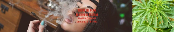 трава Навашино